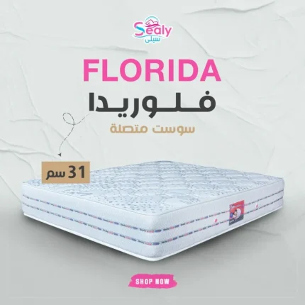 مرتبه سيلي فلوريدا ارتفاع 31 سم